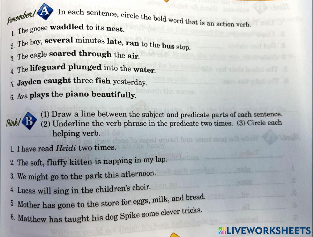 Action Verb online exercise for Live Worksheets