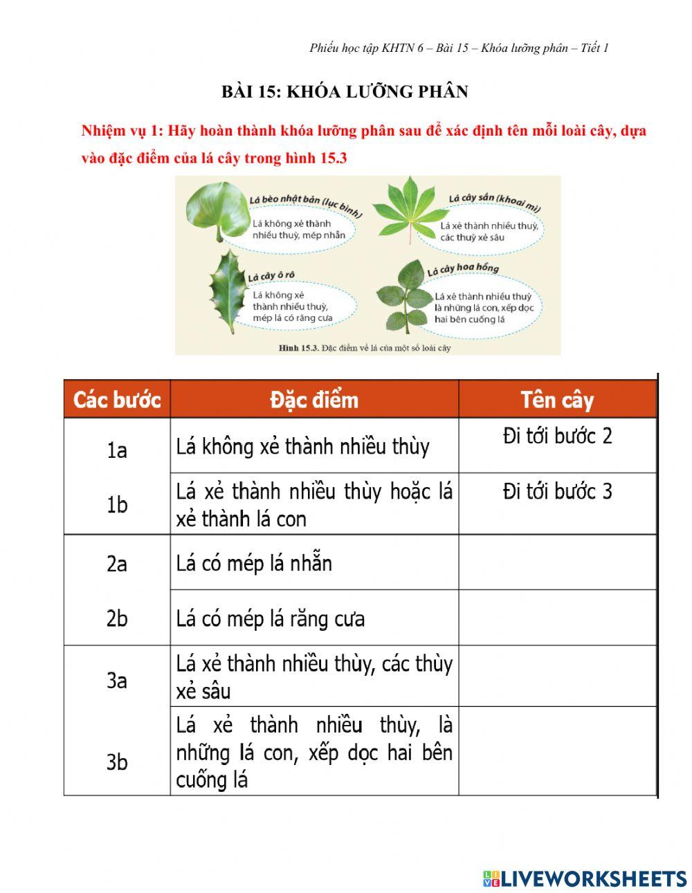 Bài 15: Khóa lưỡng phân