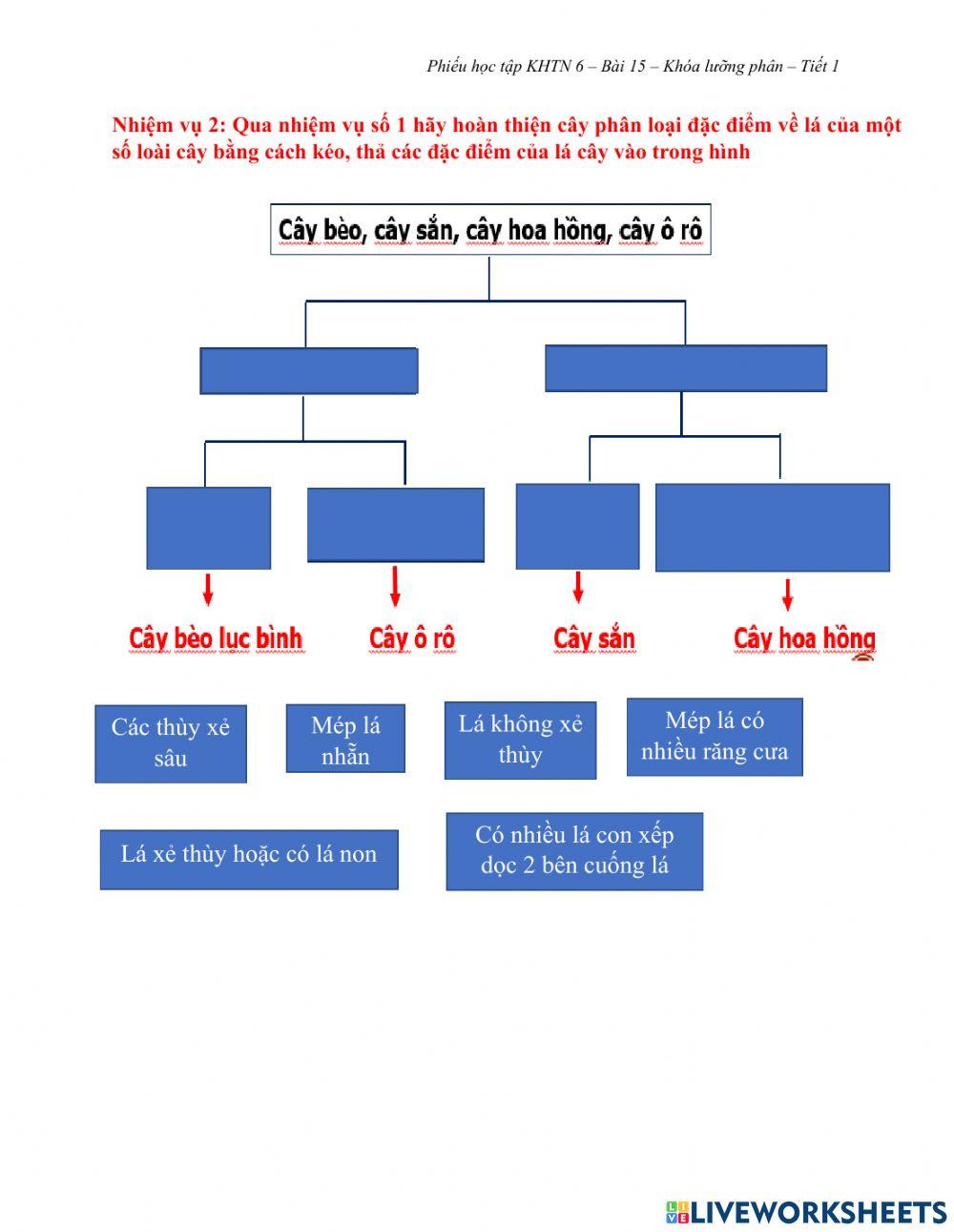 Bài 15: Khóa lưỡng phân