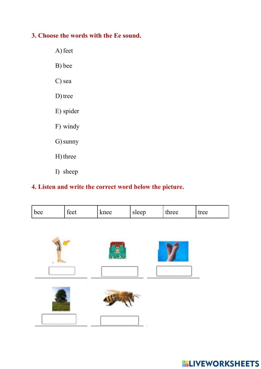 Phonics Summative Quiz - 1P2Q
