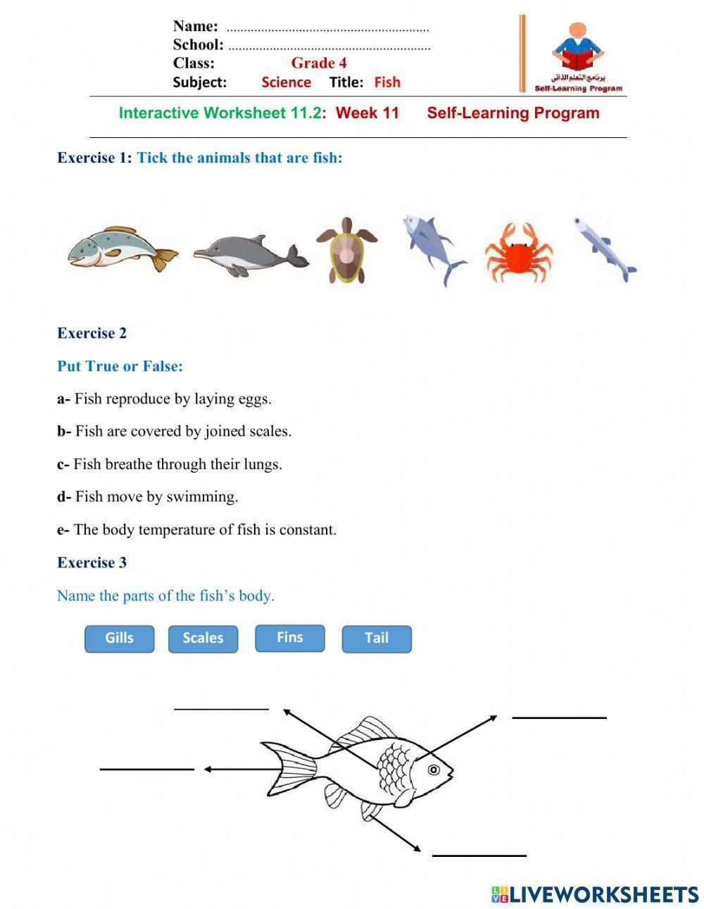 SY21-22-W11 Gr4 D4 Sc Int. WS11.2