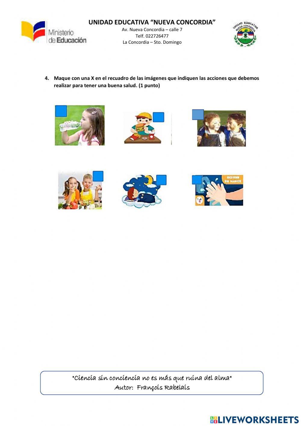 El cuerpo humano: alimentación