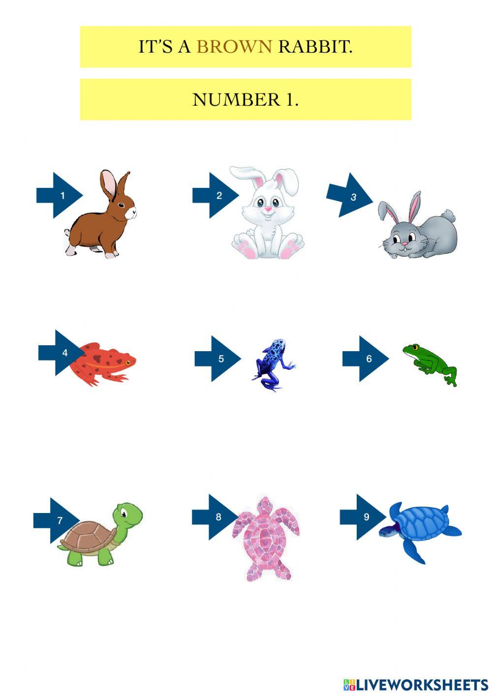 what-animal-is-it-what-number-is-it-worksheet-live-worksheets