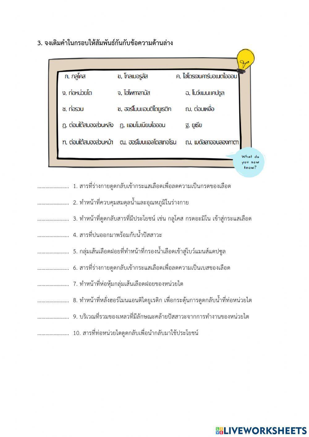 การรักษาดุลยภาพ