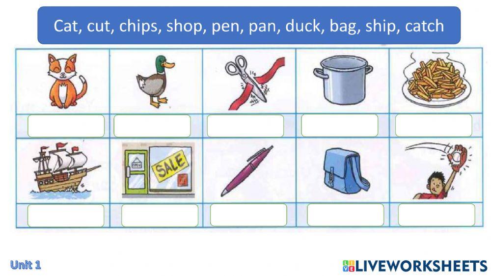 Ge2 - revision vocab - semester 1