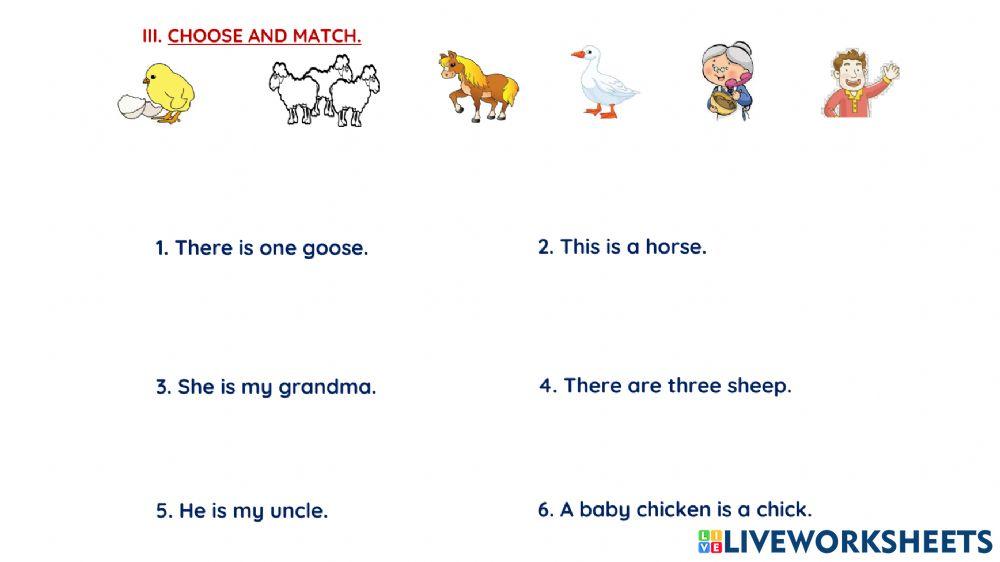 Revision worksheet 7