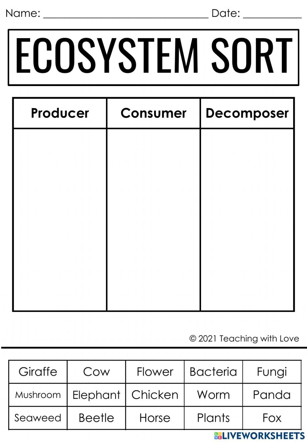 Producers, Consumers, and online exercise for Live Worksheets