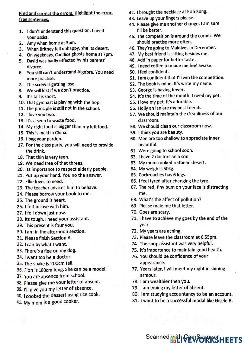 Error Identification