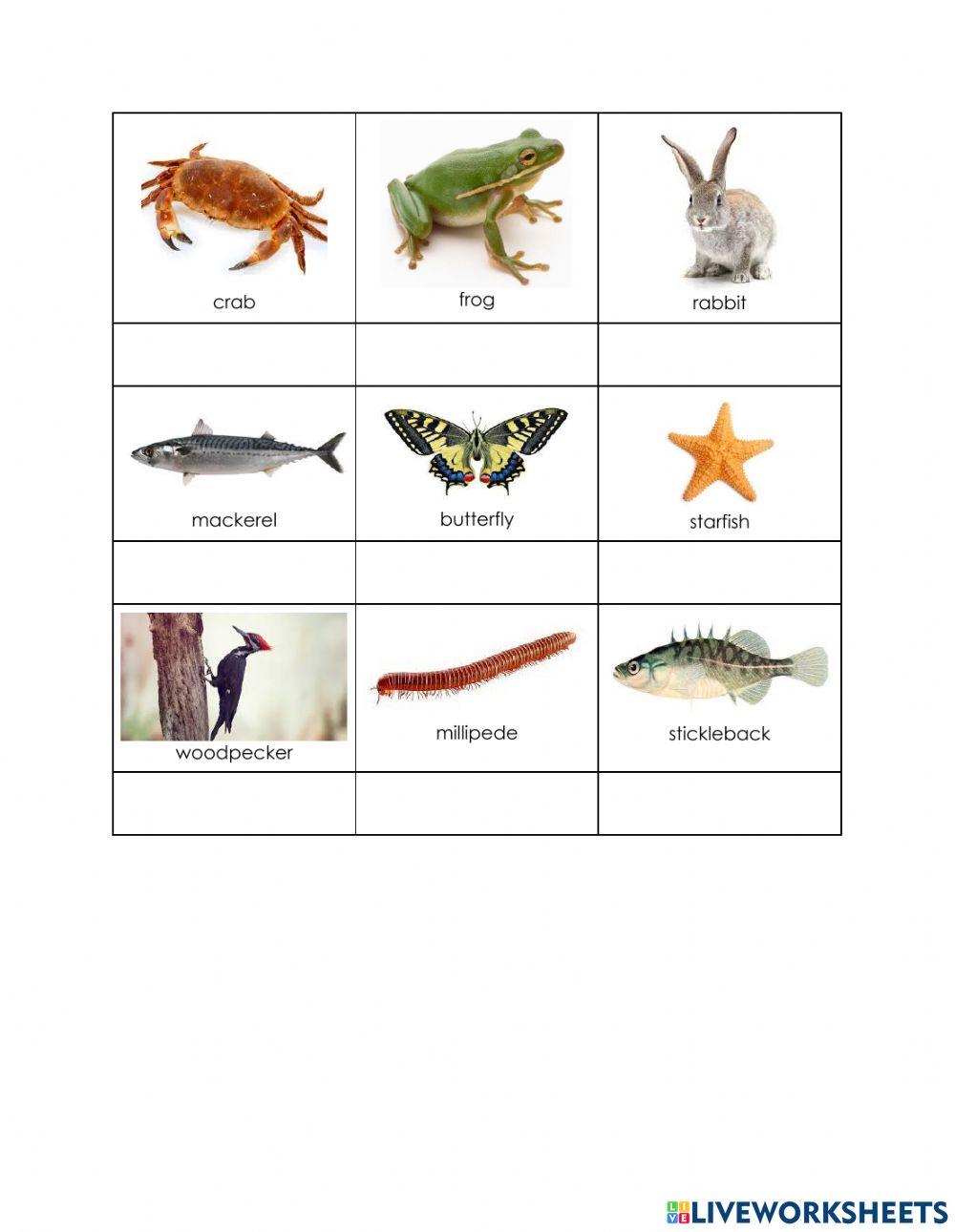 Relationship between living things