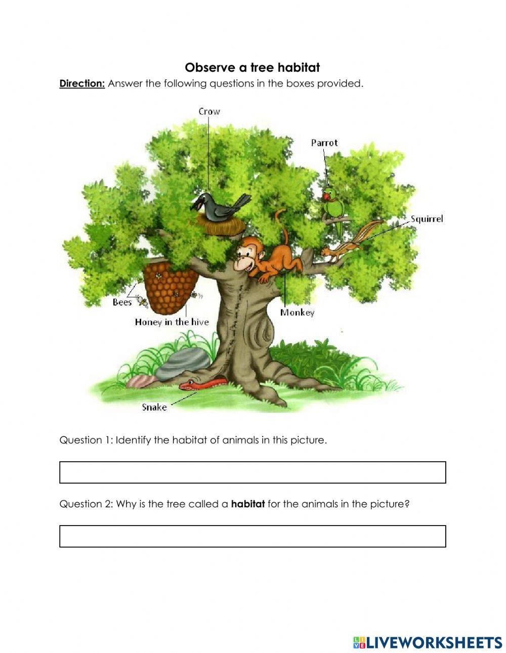 Relationship between living things