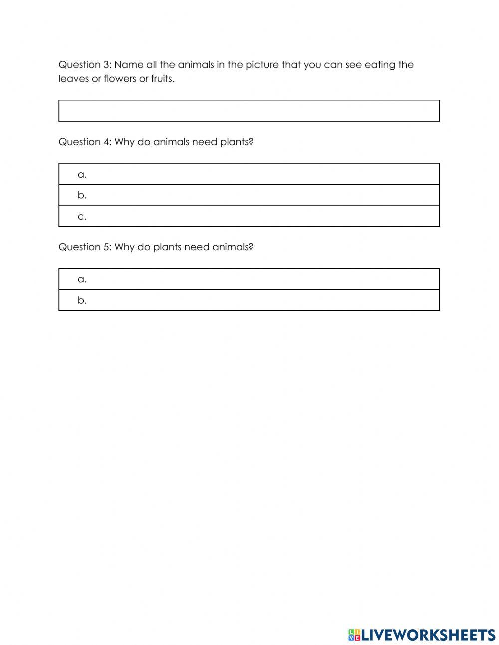 Relationship between living things