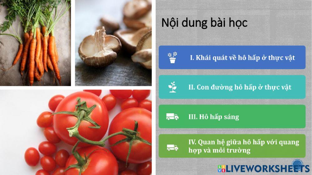 Phiếu học tập sinh 11