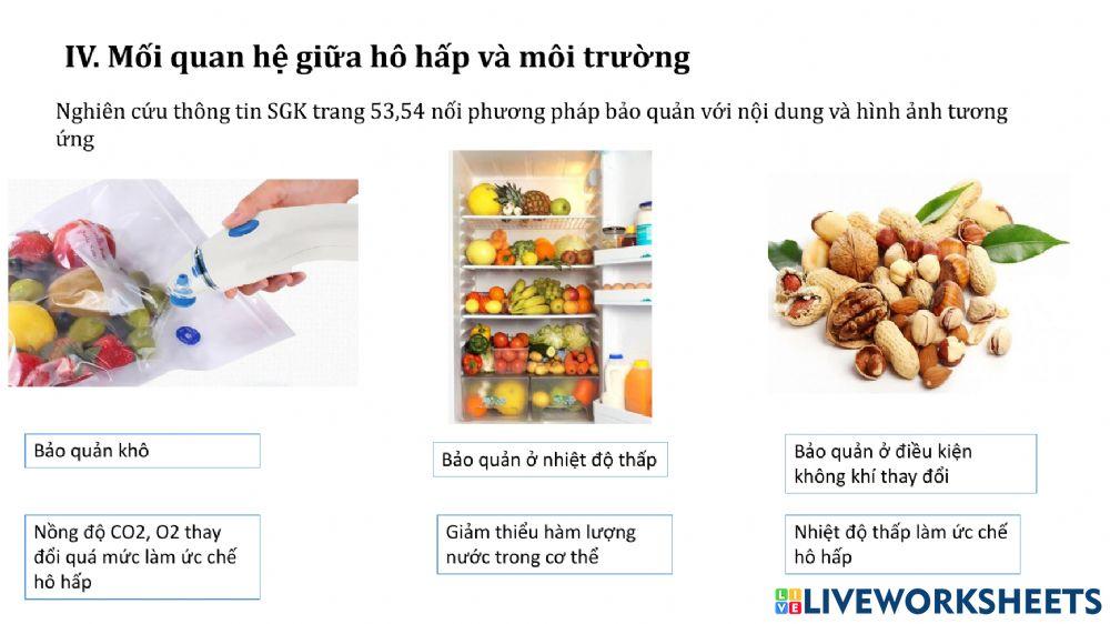 Phiếu học tập sinh 11