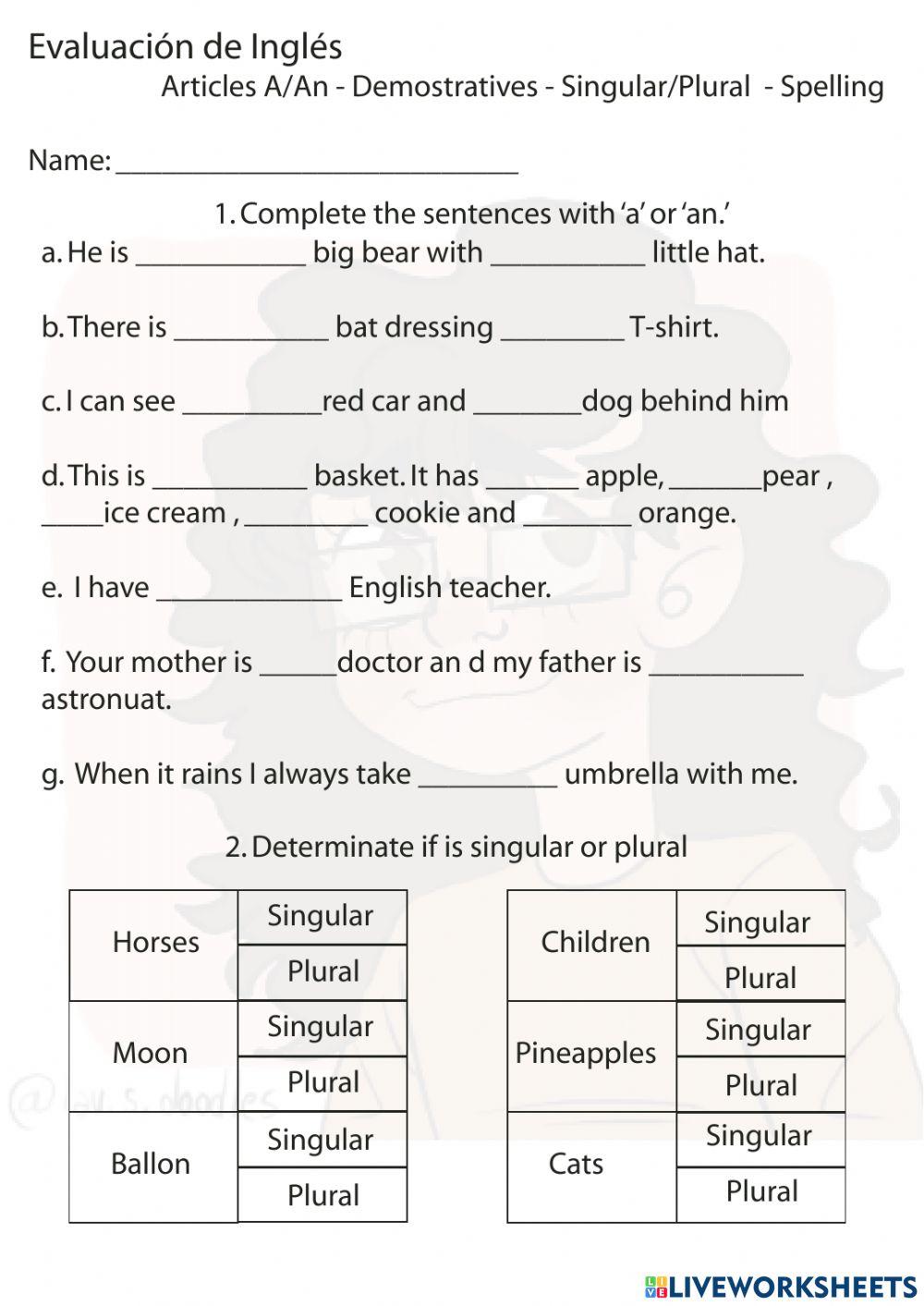 1st grade Evaluation