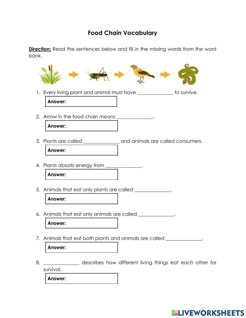 food-chain-activity-for-6-live-worksheets