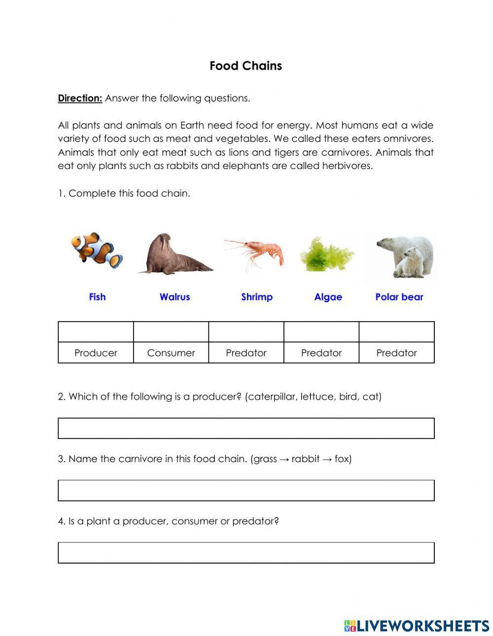 Food chains