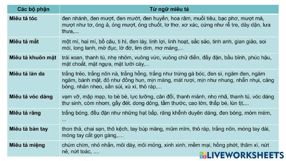 Dàn ý TLV tả người