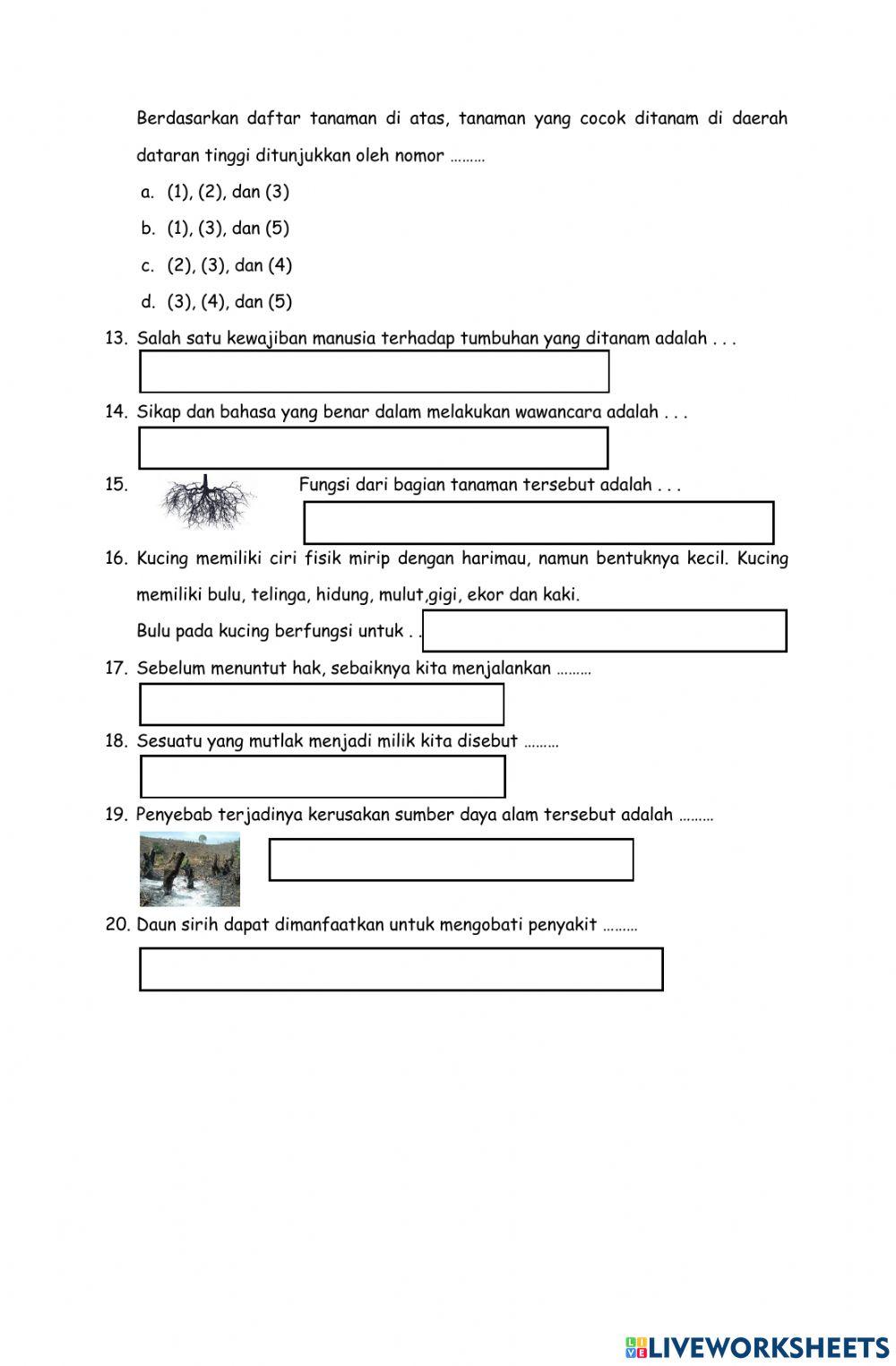 Soal evaluasi tema 3
