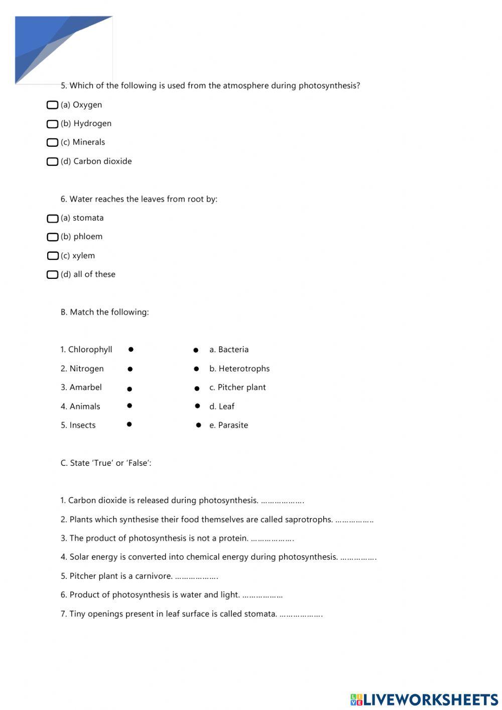 Nutrition in Plants Worksheet