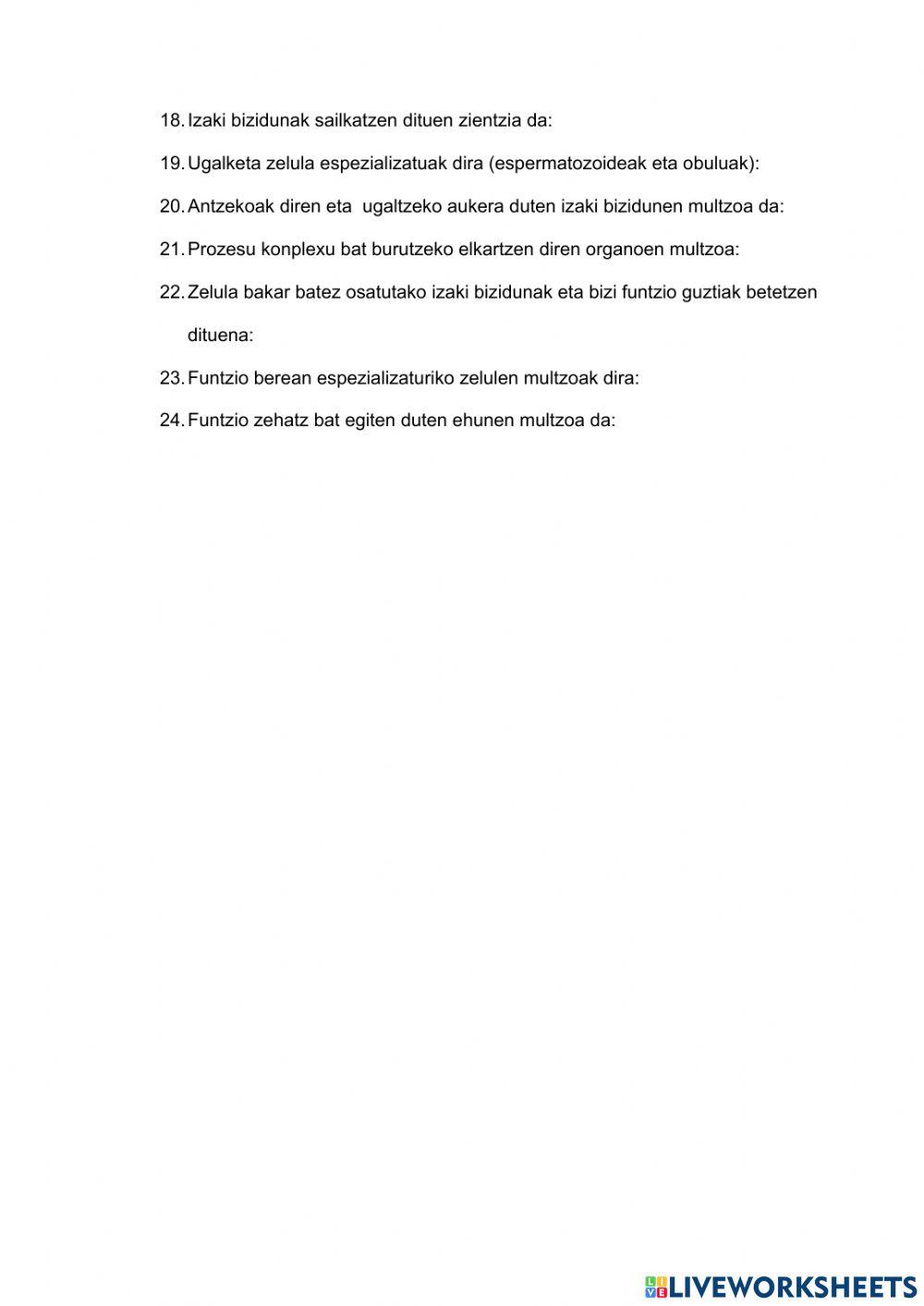 Izaki Bizidunak - Glosarioa