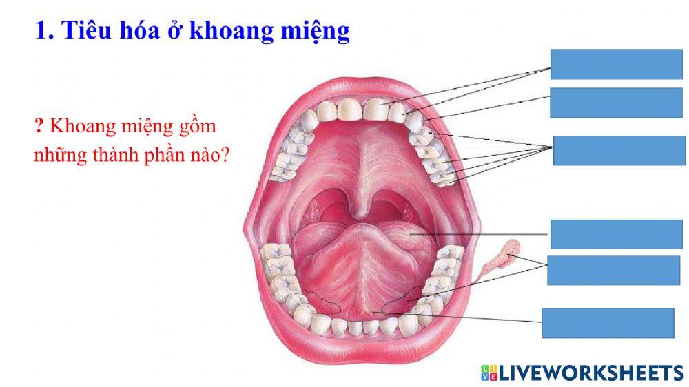 Điền vào chỗ trống