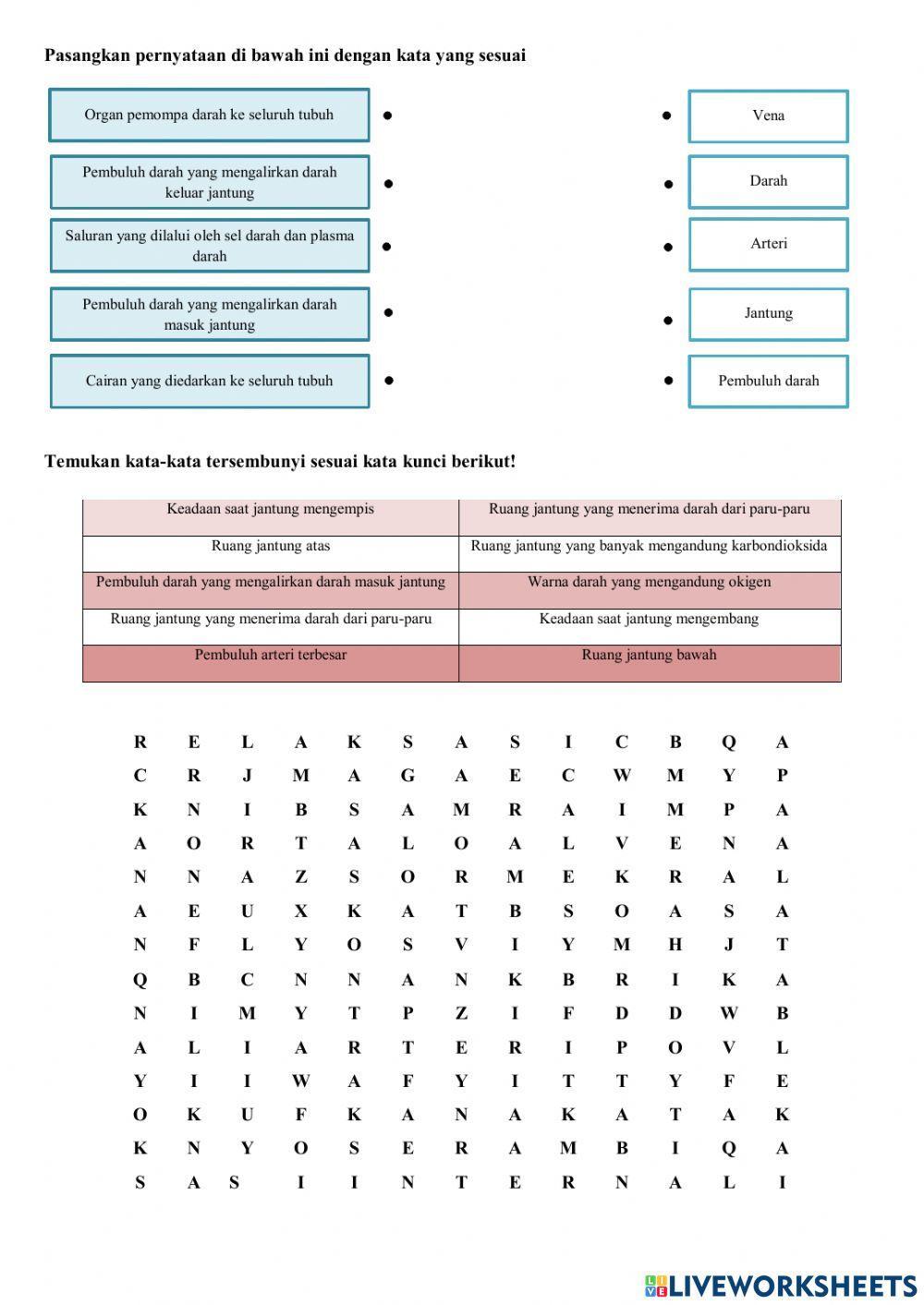 Peredaran Darah Manusia