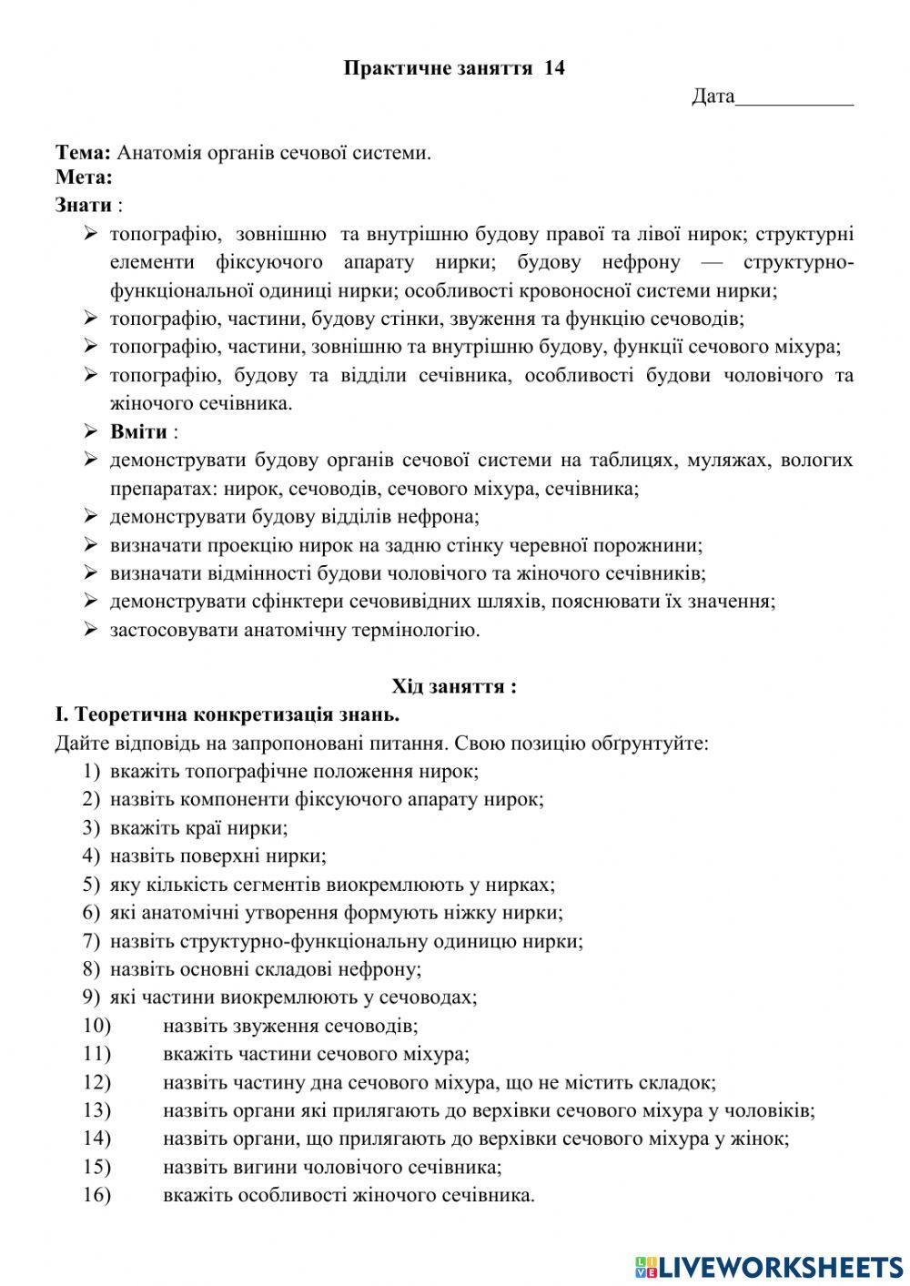 Анатомія сечової системи