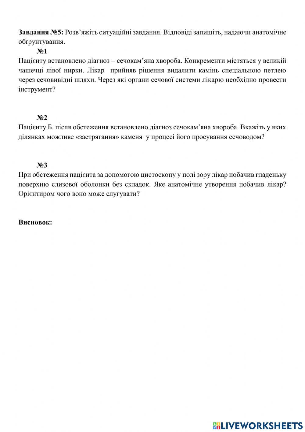 Анатомія сечової системи