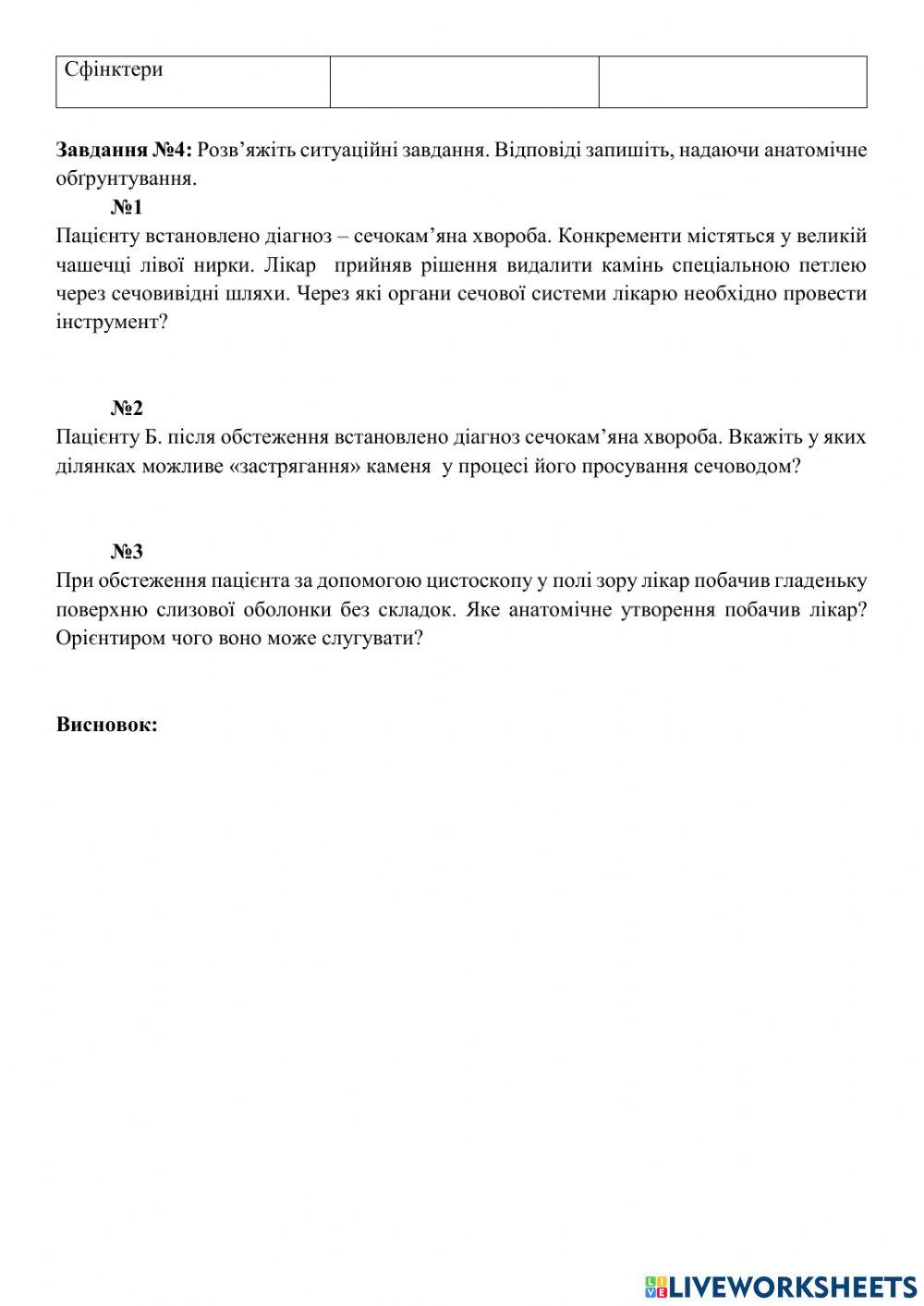 Сечовидільна система