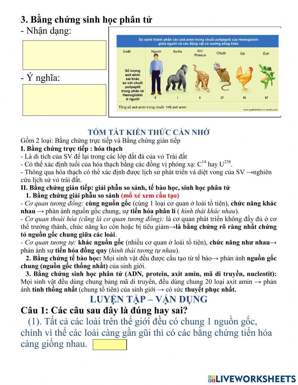 Bài 24,Sinh12,Các bằng chứng tiến hóa