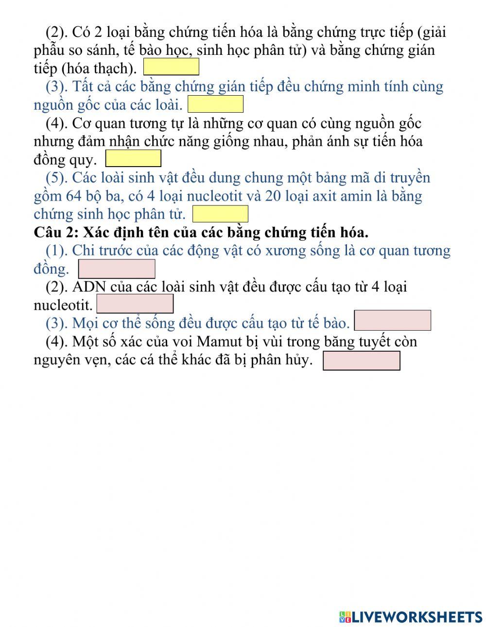 Bài 24,Sinh12,Các bằng chứng tiến hóa