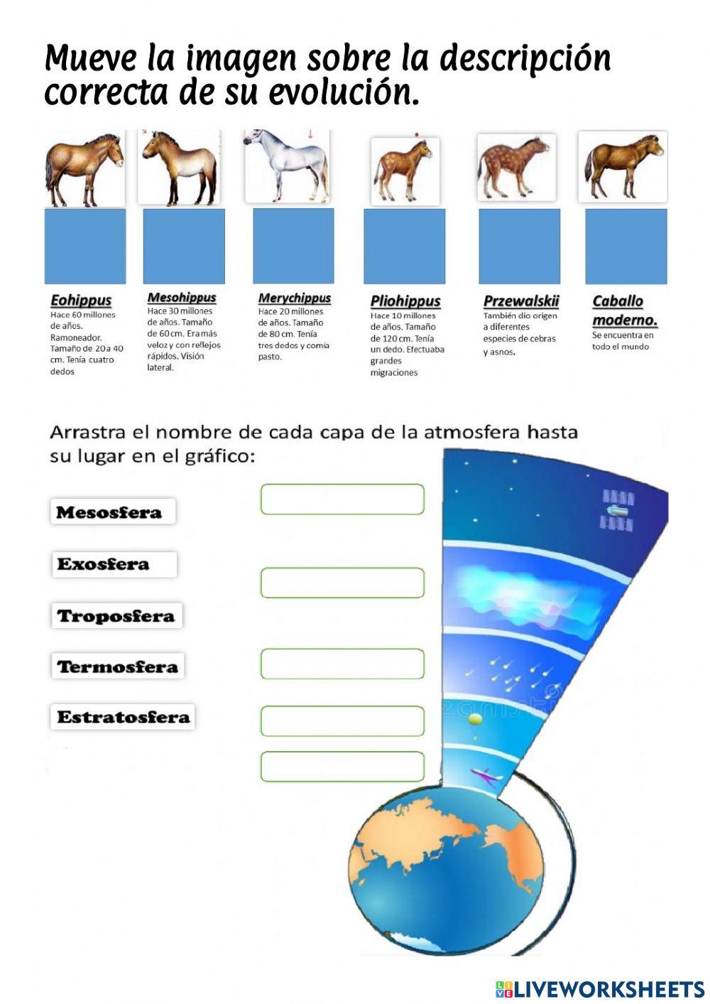 Repaso examen ciencias naturales noviembre 2022