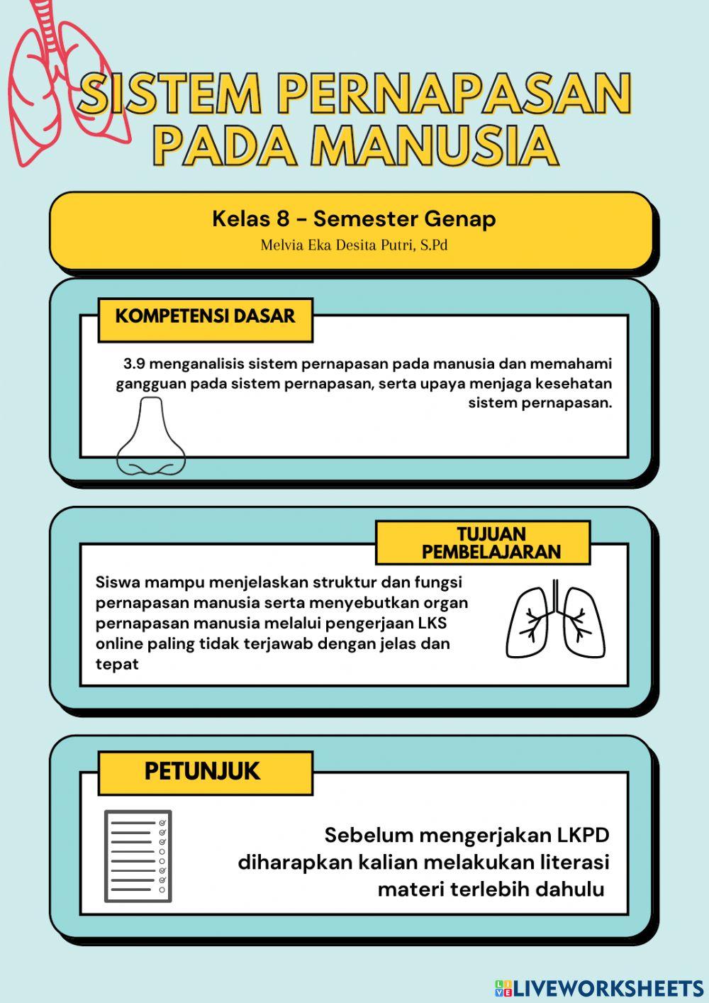 Sistem pernapasan ipa kelas 8