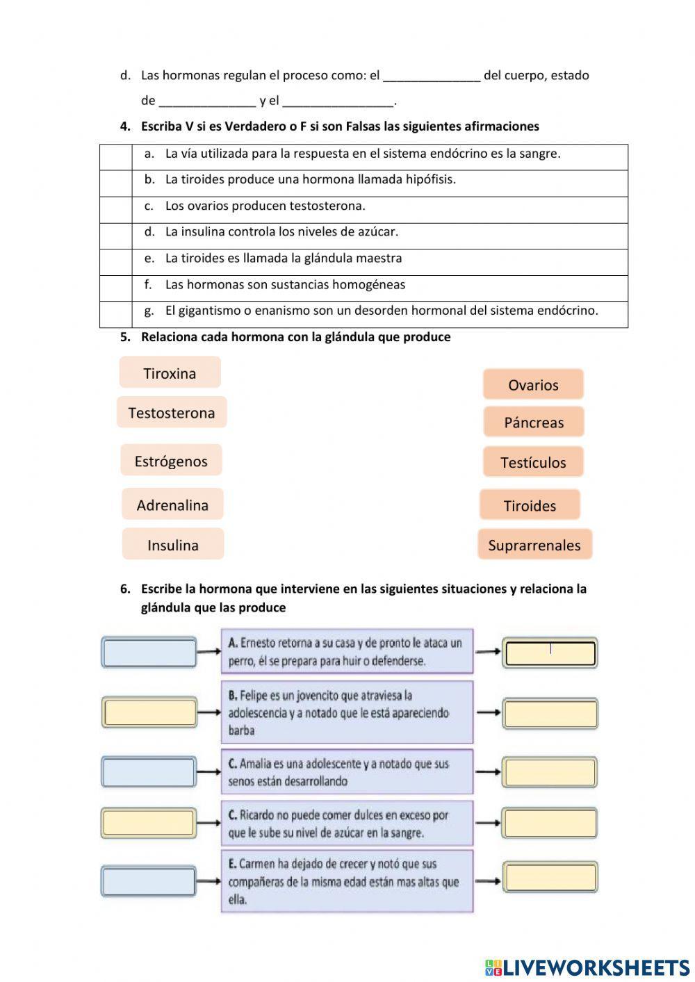 Sistemas endocrino