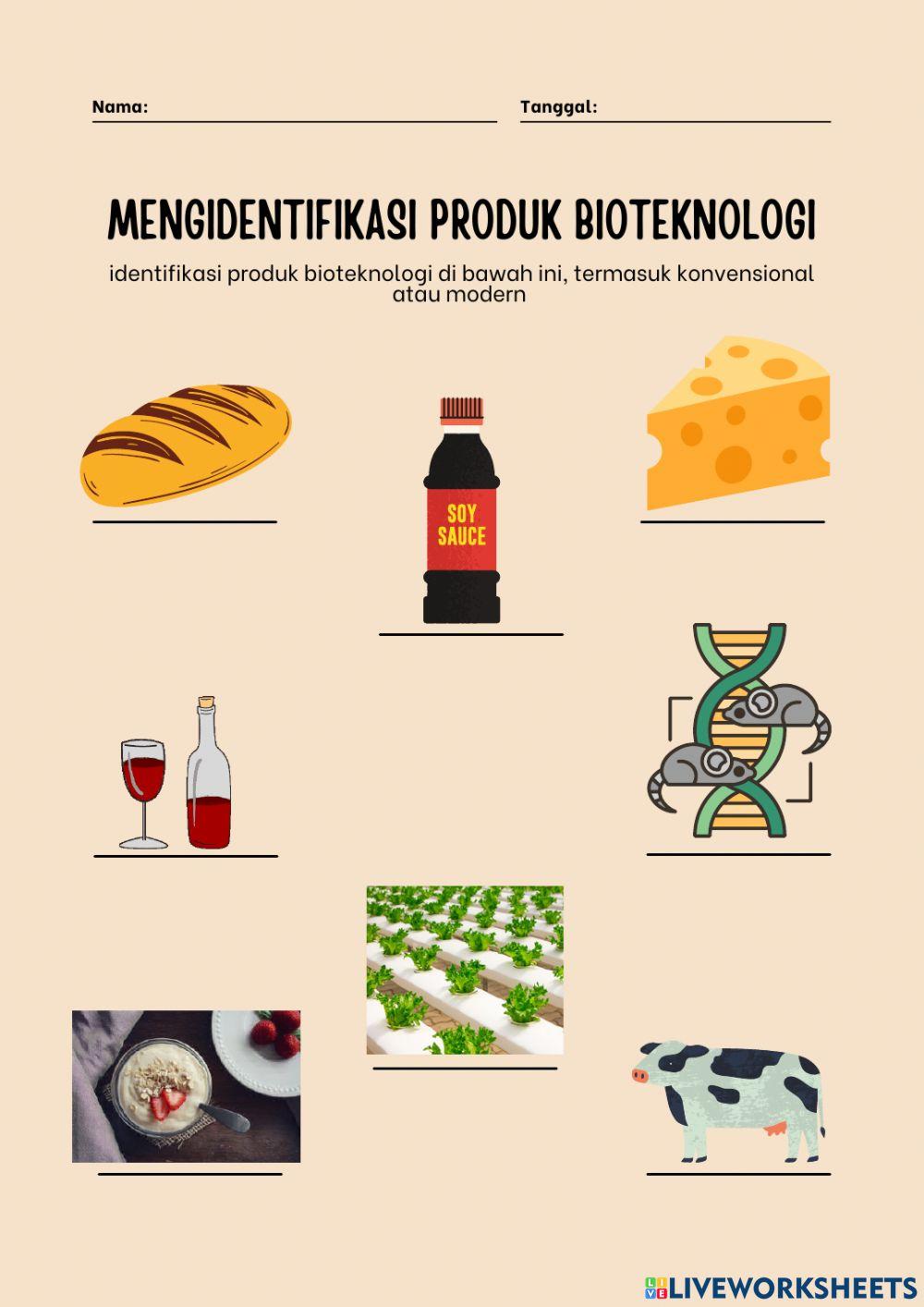 Bioteknologi worksheet