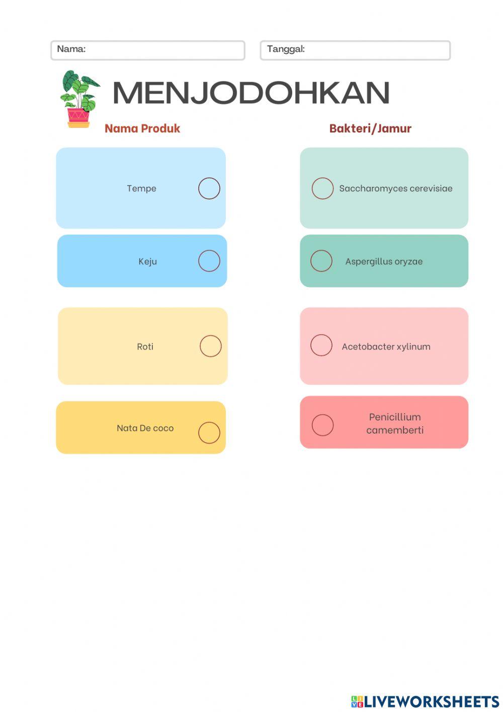 Bioteknologi worksheet