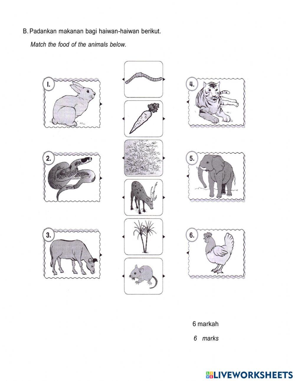Pembetulan pentaksiran sains tahun 3 (2)