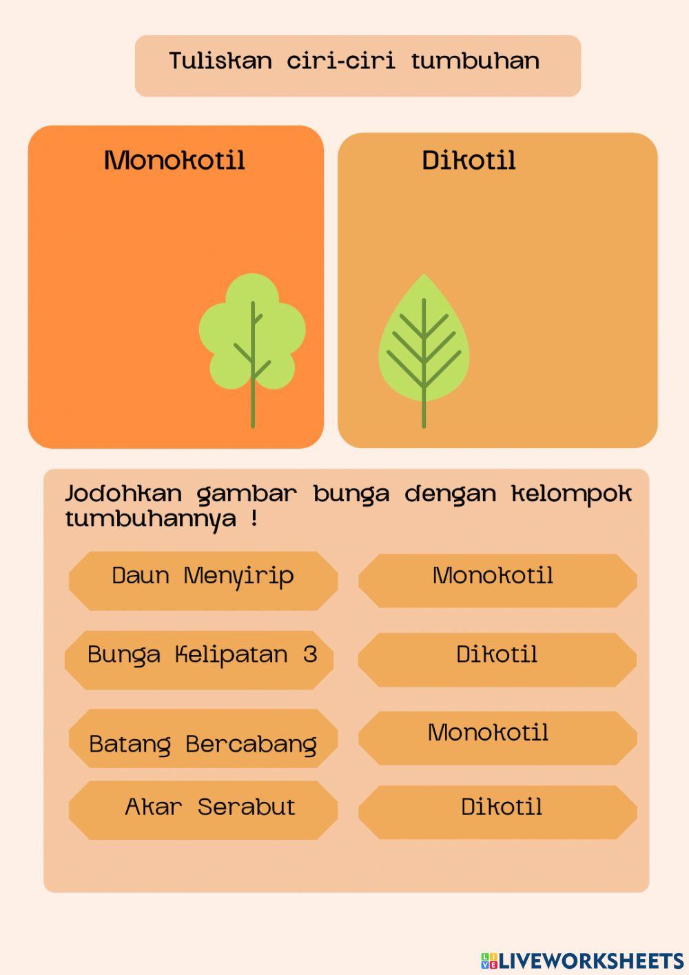 Klasifikasi Tumbuhan