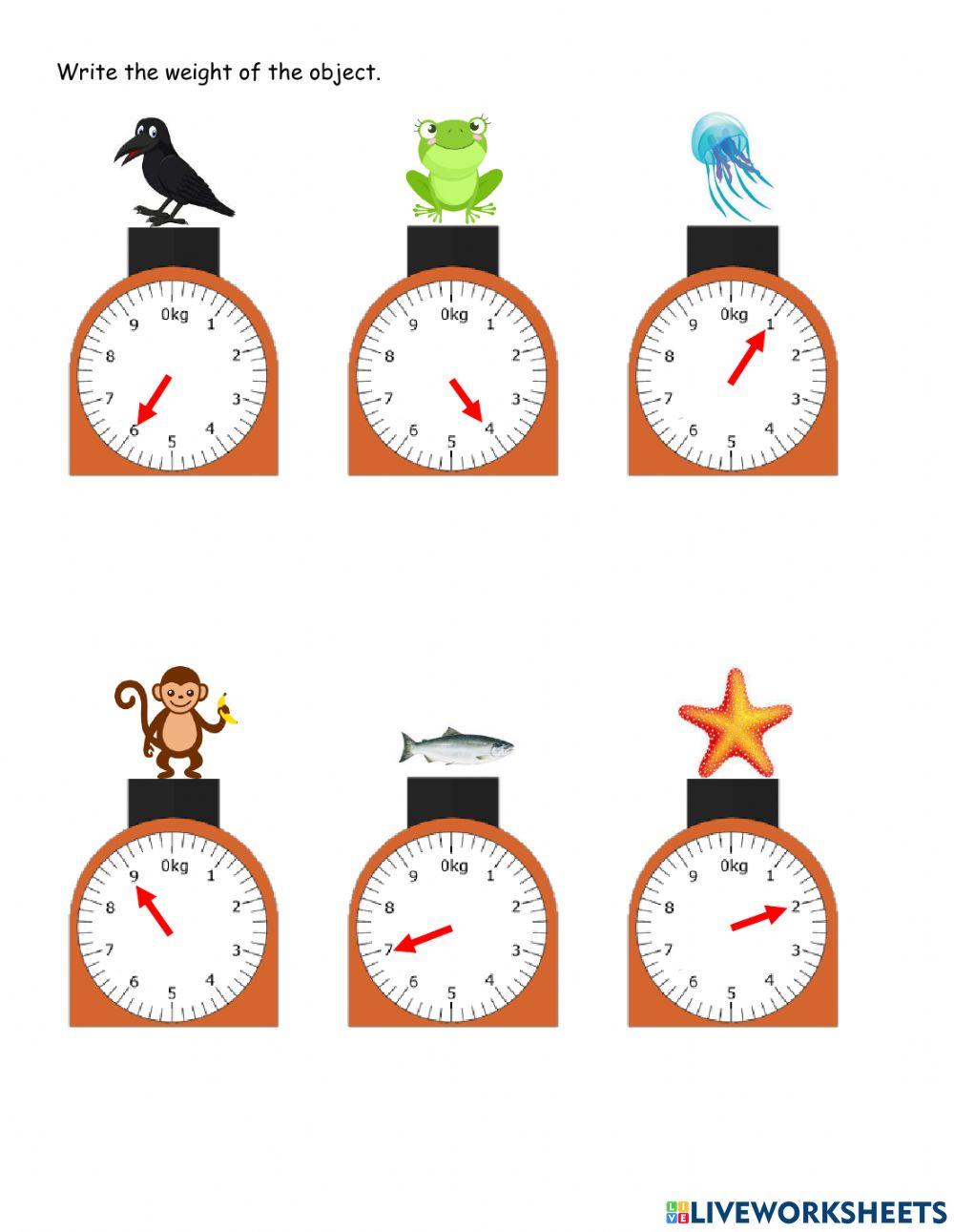 Measuring Weight activity | Live Worksheets
