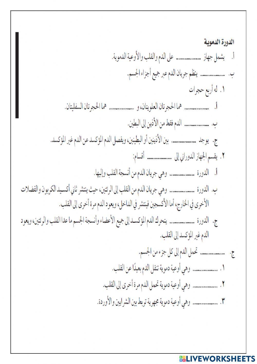 جهاز الدوران3