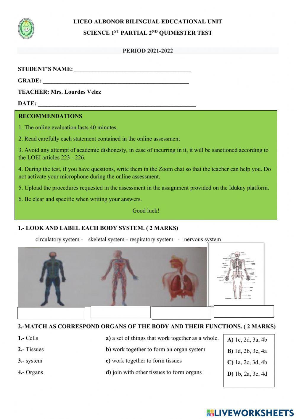 Body System and functions Summative Test