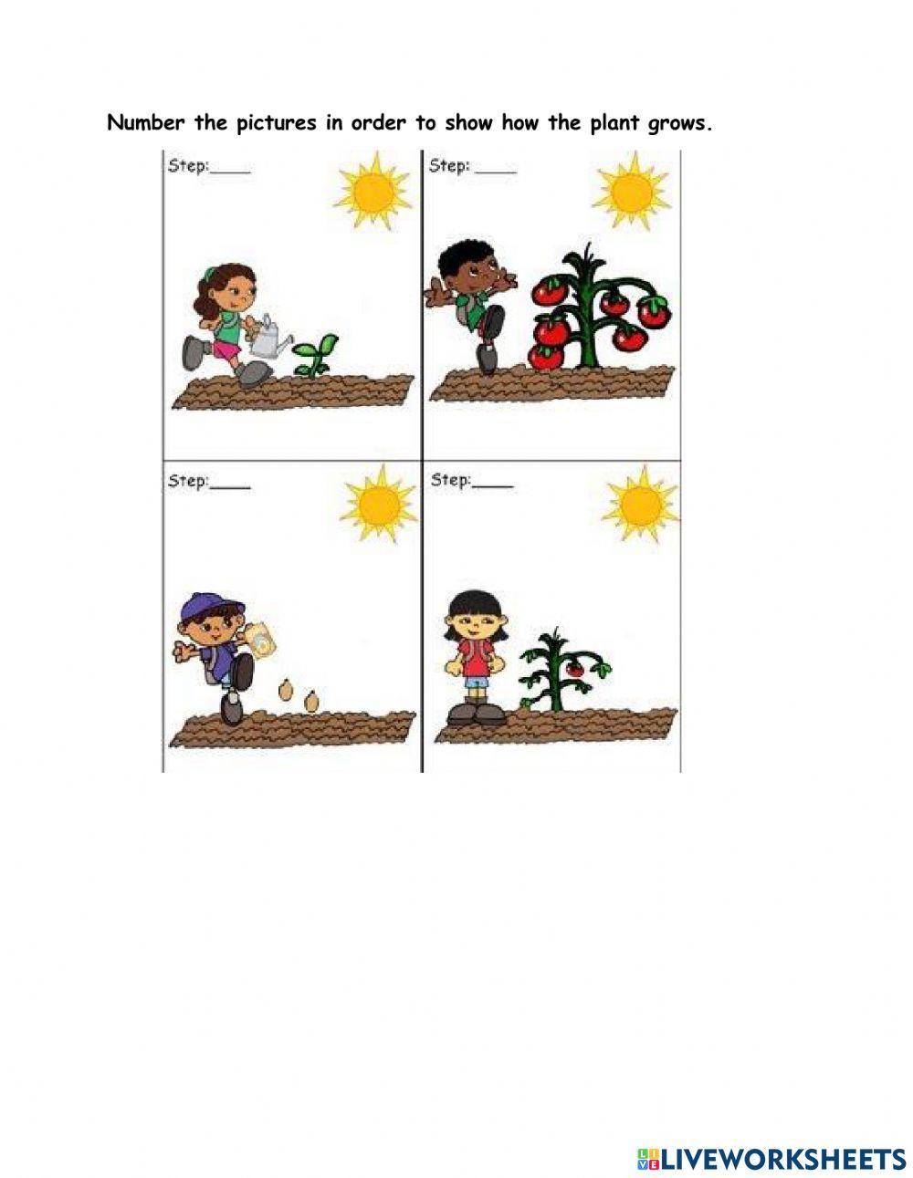 Reading Comprehension