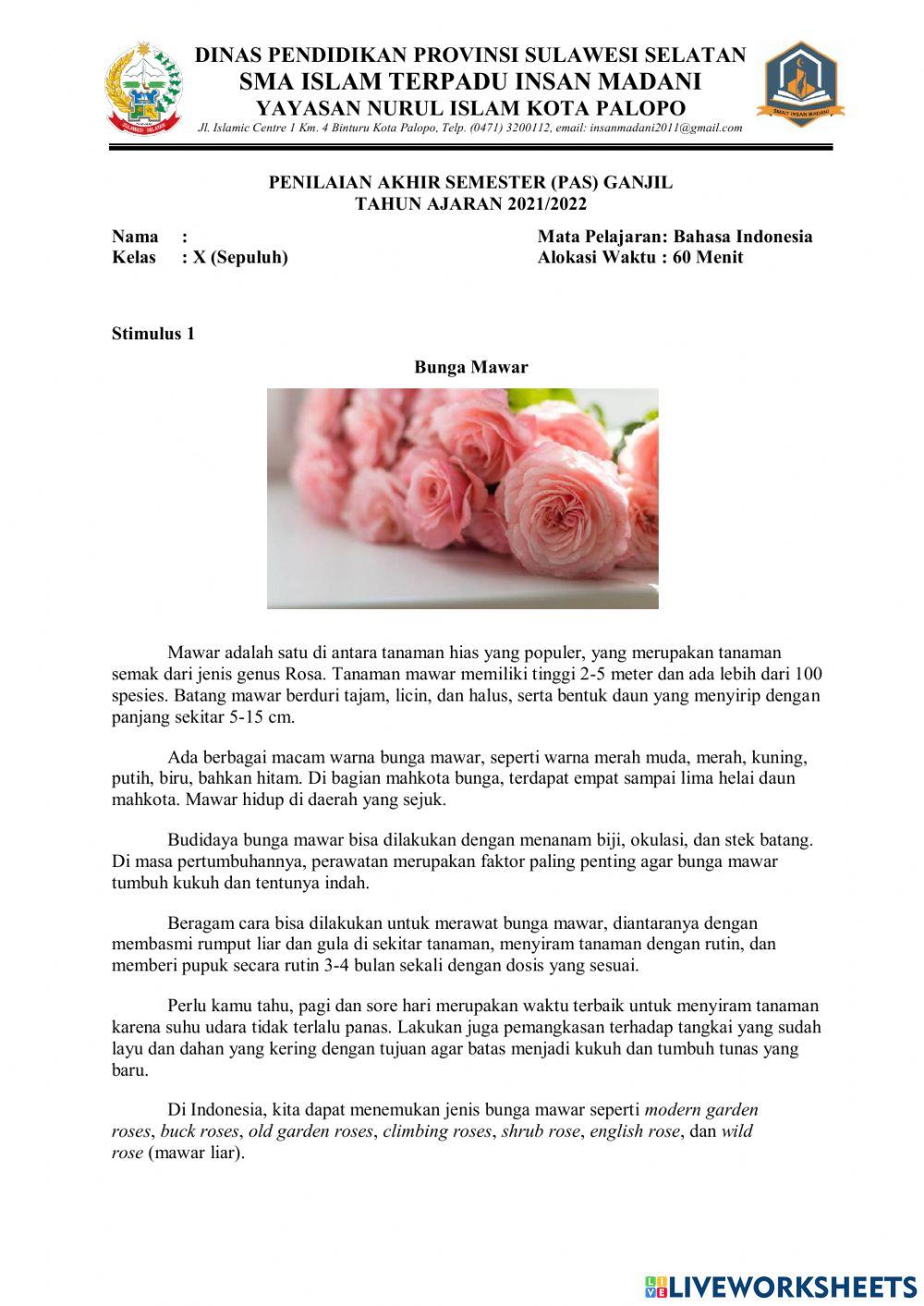 PAS Bahasa Indonesia Kelas X (Ganjil)