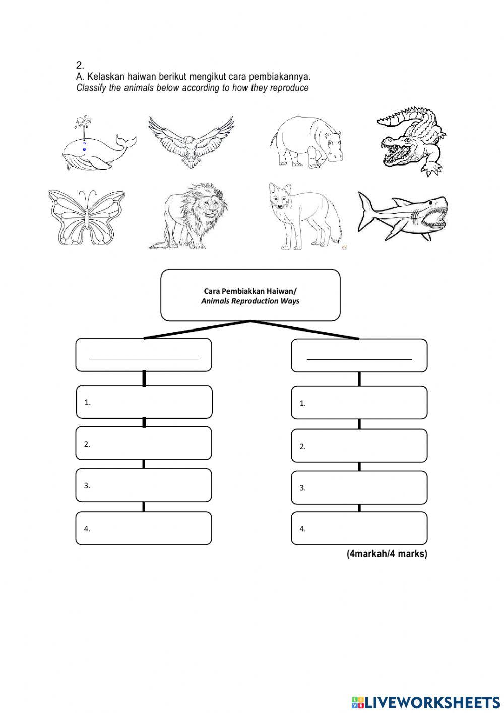 Pembetulan pentaksiran sains tahun 2 (2)