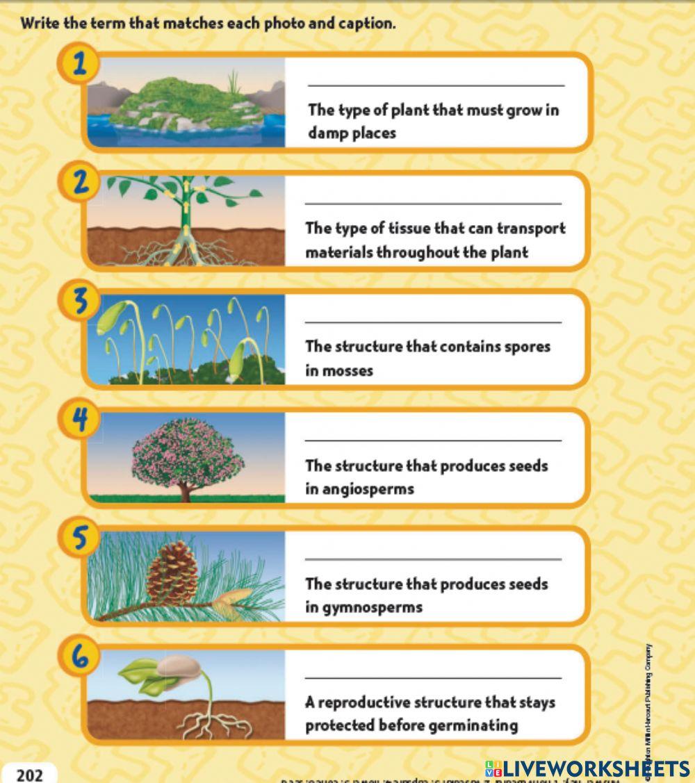 G5 how are plants grow and reproduce