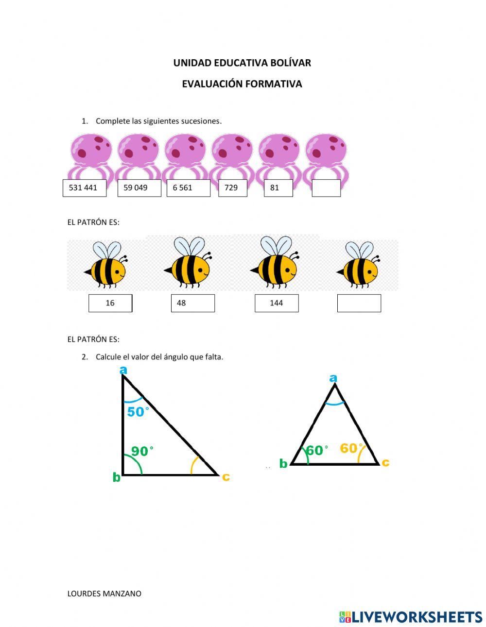 Evaluaciòn proyecto