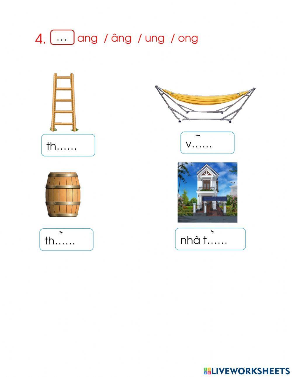 CĐ12  Bài Thực hành