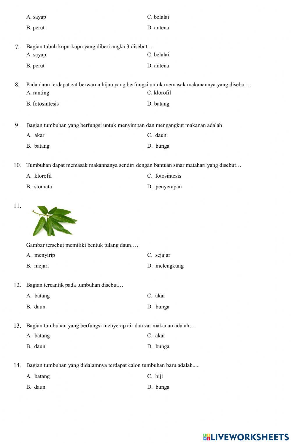 Penilaian akhir semester