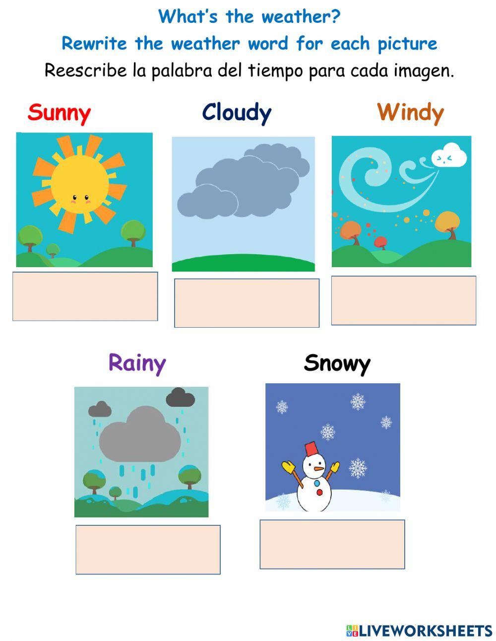 Weather online exercise for 1st and 2nd Live Worksheets