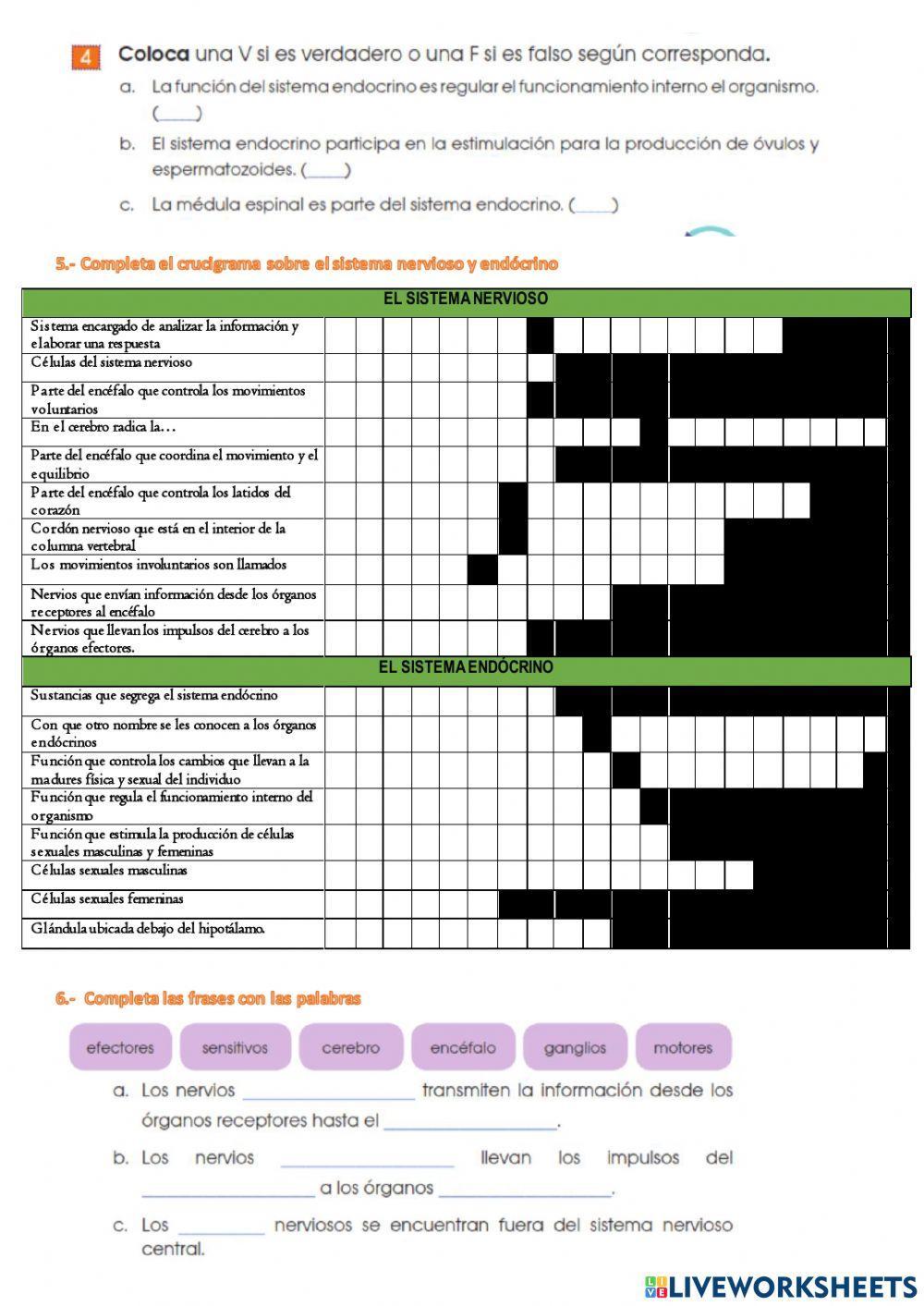 Sistema nervioso y endócrino